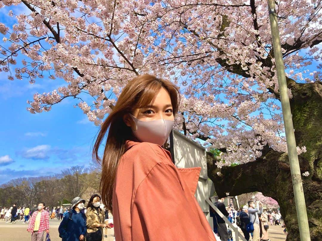 間瀬遥花さんのインスタグラム写真 - (間瀬遥花Instagram)「. . 🌸🌸🌸🌸🌸 . . . #桜 #満開 #満開の桜 #お花見 #お花見日和 #お花見散歩 #花見 #花見日和 #上野 #上野公園」3月31日 16時56分 - maseharu_929