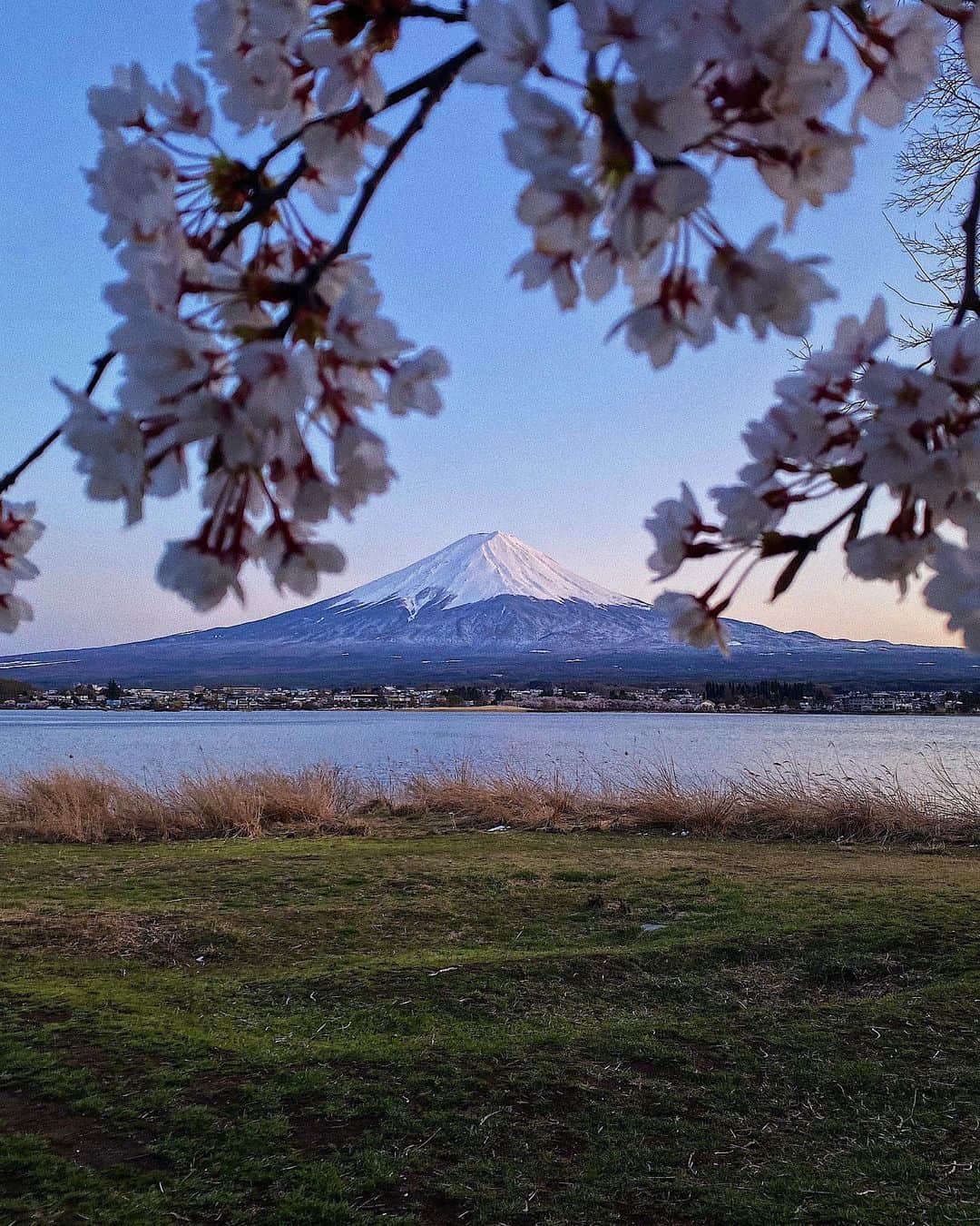 富樫勇樹さんのインスタグラム写真 - (富樫勇樹Instagram)3月31日 17時24分 - yukitogashi