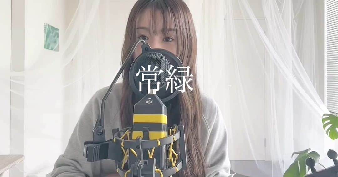 fumikaのインスタグラム：「⁡ 常緑 / 大橋ちっぽけ ⁡  友達に春が訪れていた🌸 嬉しっっっ♪ ⁡ .......................................................... ⁡ #リクエスト受け付け中 #ukulele #ウクレレ #安定の木曜日  #cover #カバー #弾き語り #常緑 #大橋ちっぽけ  #シンプルコード #コード  #簡単 #ウクレレ女子 #youtube  #fumicover #洋楽 #邦楽 #music #singasong」