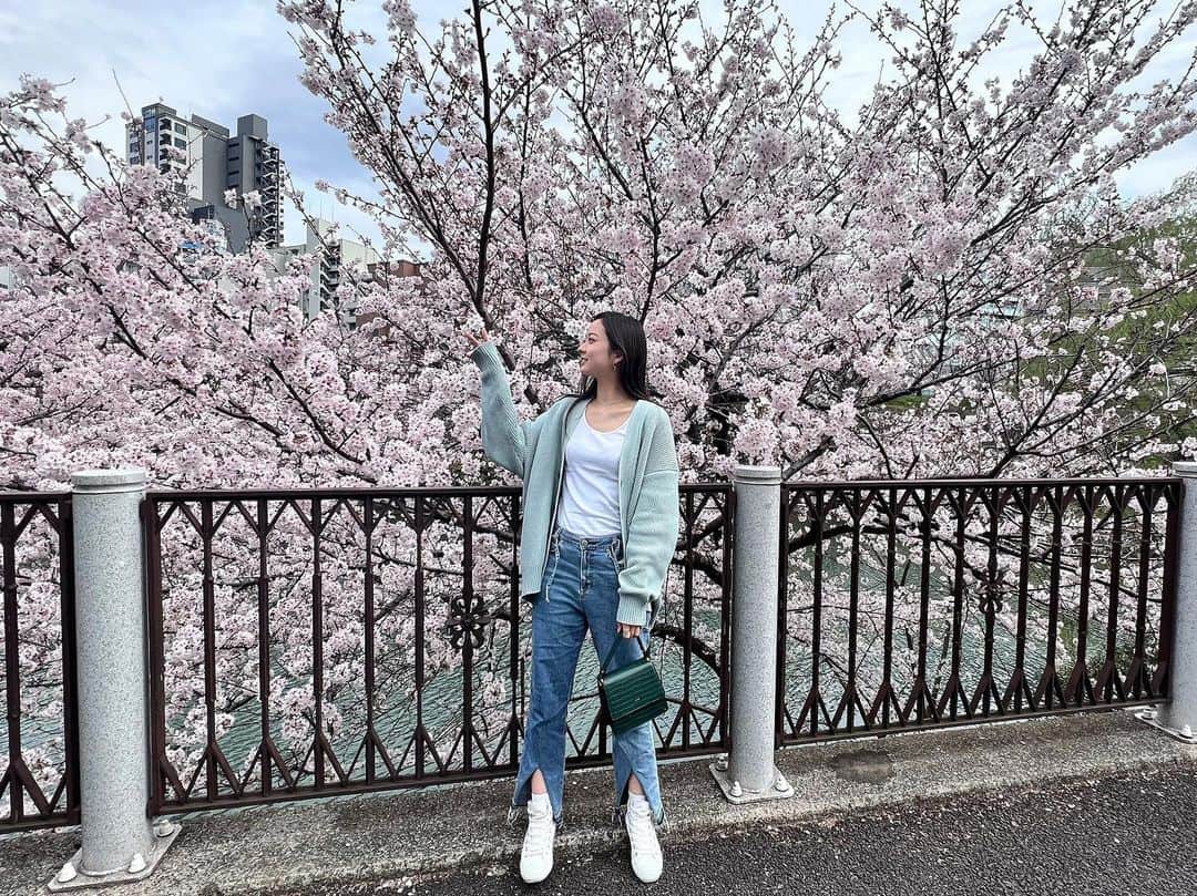 川瀬莉子のインスタグラム：「. 桜だーー🌸🌸🌸 花粉に目も鼻も攻撃されながらのお花見でした🫣️」