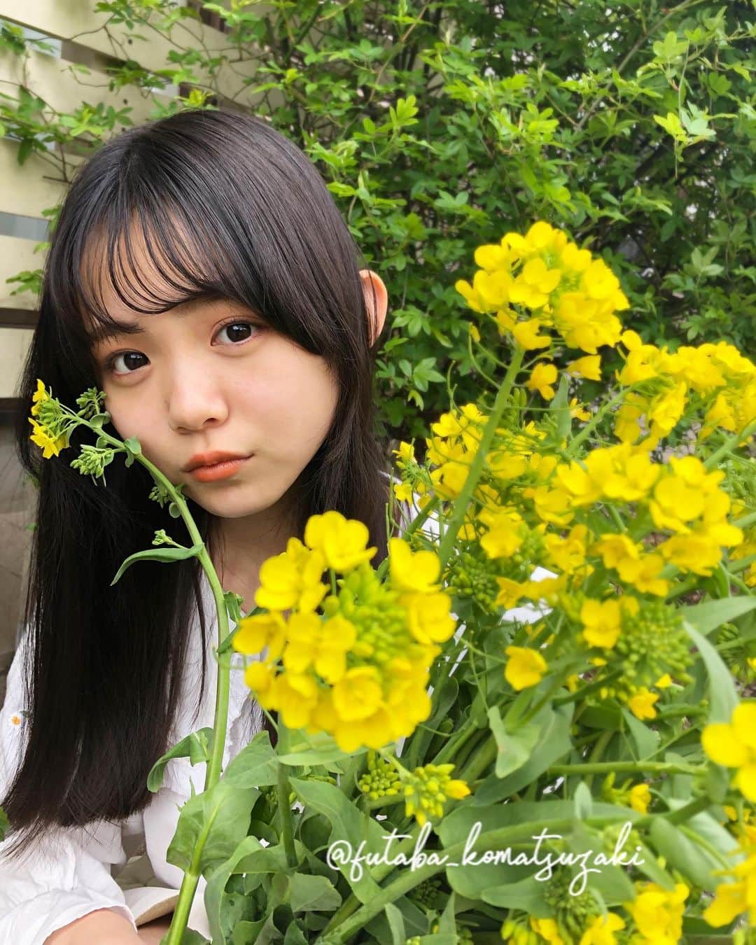 のインスタグラム：「🌱  菜の花を摘んできました🌼黄色のお花は気持ちも明るく元気になれますね💪🏻💛 ♡ ♡ ♡ #菜の花 #ニコプチ #プチモ #小松崎ふたば #🌱」
