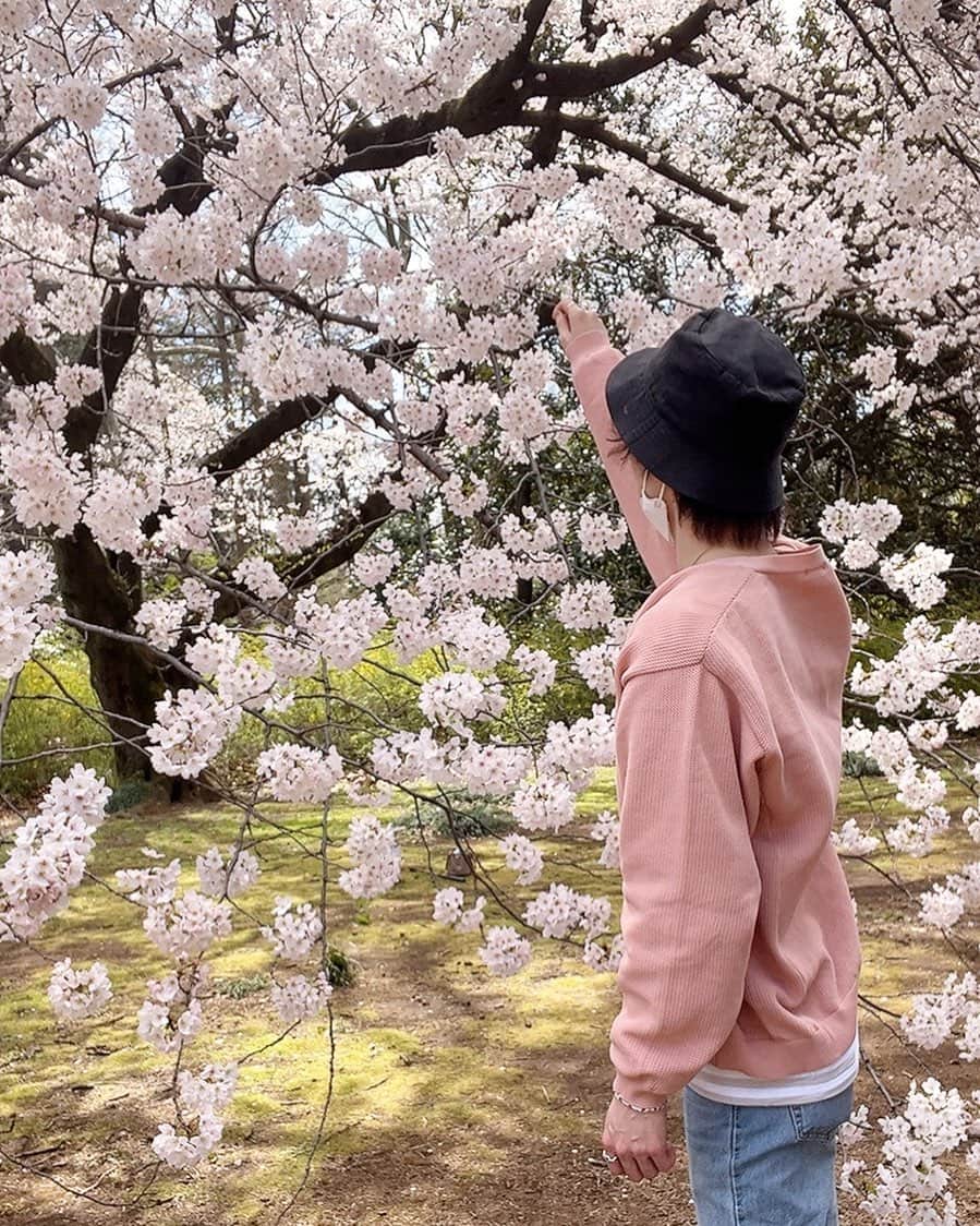 金内柊真のインスタグラム：「桜と私🌸」