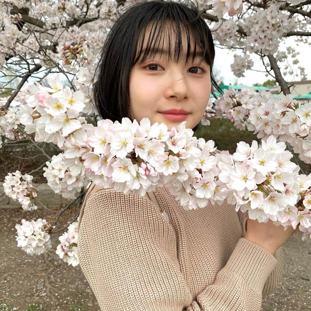 小室ゆらさんのインスタグラム写真 - (小室ゆらInstagram)「⌇🌸 ⁡ ⁡ 母と地元の桜を見に ☺︎︎ ⁡ なんだか今年は一段と綺麗な気がして、 見つける度に写真撮ったな~🥰 ⁡ 桜にいい感じに埋もれたかったんだけど 「なんか背負ってるみたいだよ」って 母に言われてしまった…笑 ⁡ ⁡ ♡」3月31日 21時15分 - komuro_yura_official