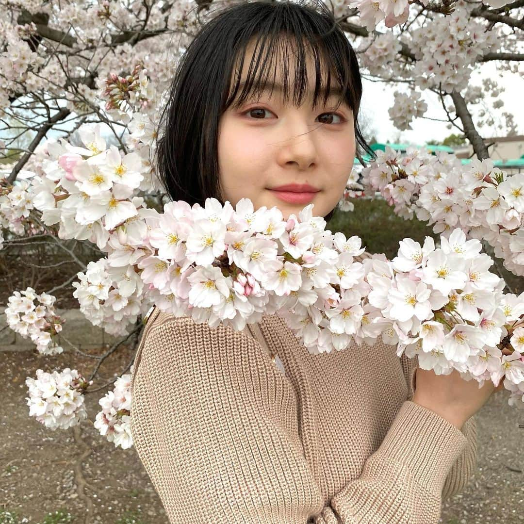 小室ゆらのインスタグラム：「⌇🌸 ⁡ ⁡ 母と地元の桜を見に ☺︎︎ ⁡ なんだか今年は一段と綺麗な気がして、 見つける度に写真撮ったな~🥰 ⁡ 桜にいい感じに埋もれたかったんだけど 「なんか背負ってるみたいだよ」って 母に言われてしまった…笑 ⁡ ⁡ ♡」