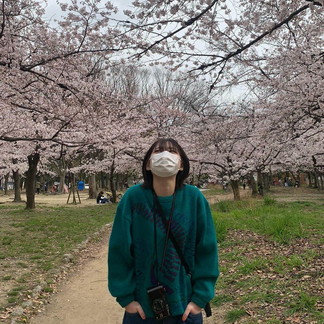 スズさんのインスタグラム写真 - (スズInstagram)「🌸✋」3月31日 21時26分 - suzunskd