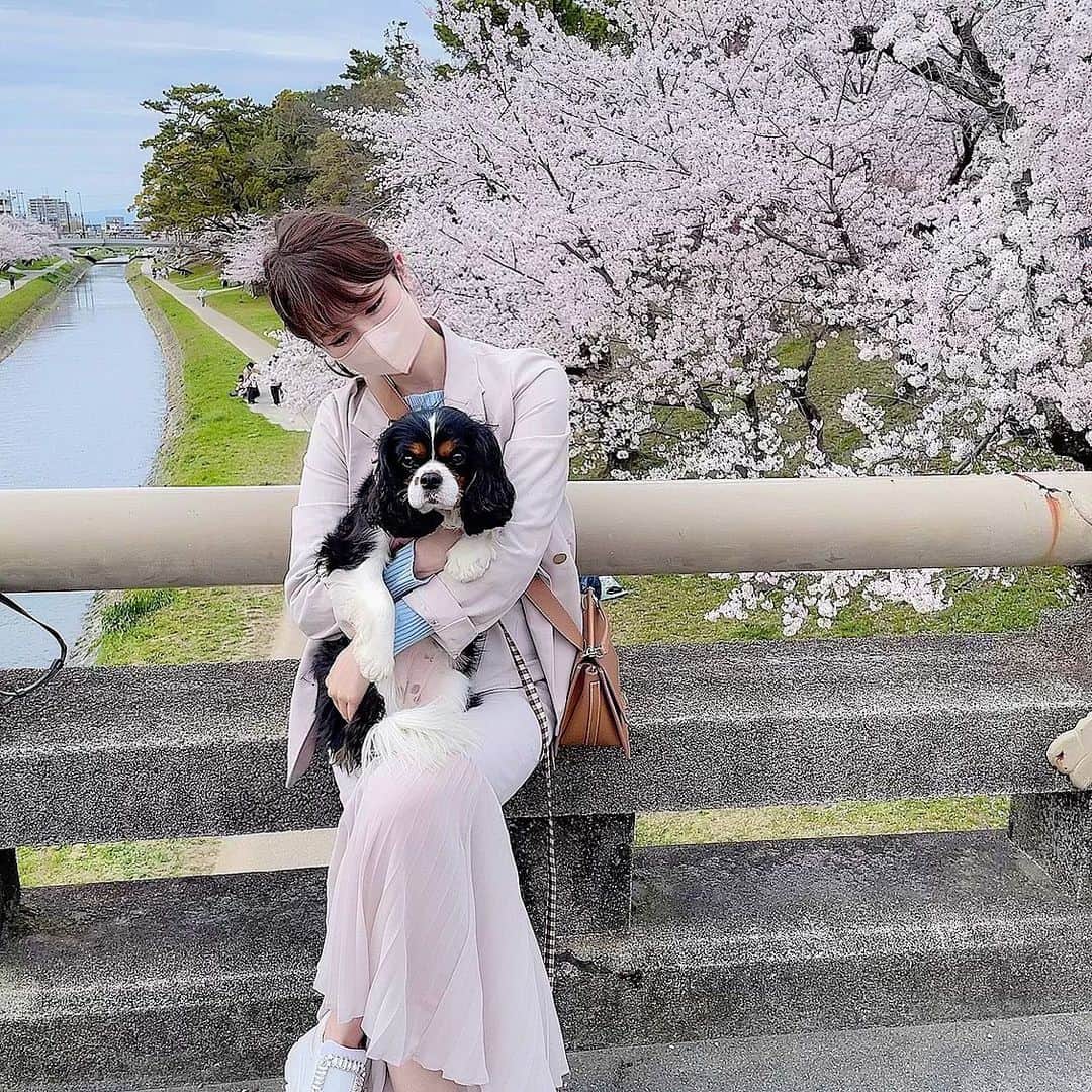 のインスタグラム：「． 花より犬🐕  #9㌔#肥満#よだれべちょべちょ」