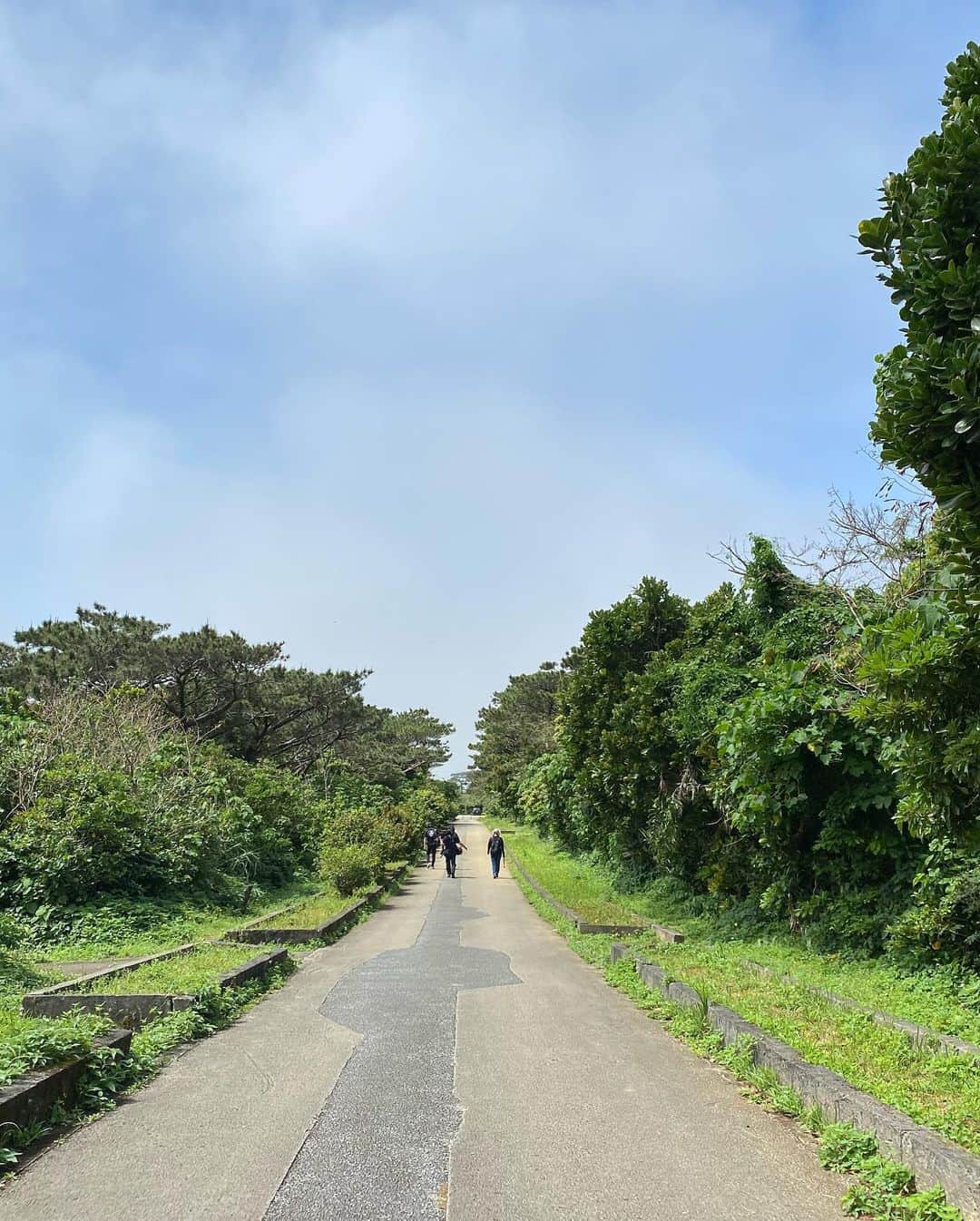 小雪さんのインスタグラム写真 - (小雪Instagram)「🏝🐠🌺 とある仕事で沖縄の伊良部島へ。 島の人のくらしや文化 きれいな海、島の自然を 沢山感じてきました！  詳細はまたお伝えします🐡  島で暮らす人たちは とても温かく迎えてくれました。 そして、みんなよく笑っていました😊 また行きたい！  #伊良部島」3月31日 21時56分 - koyuki2
