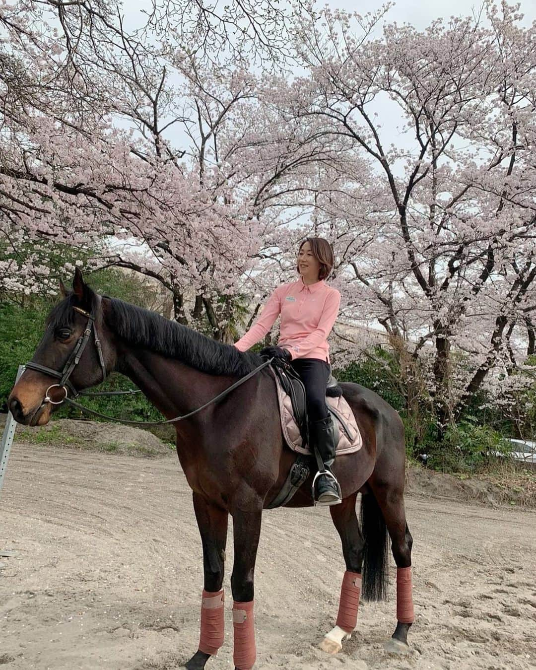 長野智子さんのインスタグラム写真 - (長野智子Instagram)「#最高の季節 #桜 #満開 #乗馬 #春」3月31日 21時56分 - naganotomoko