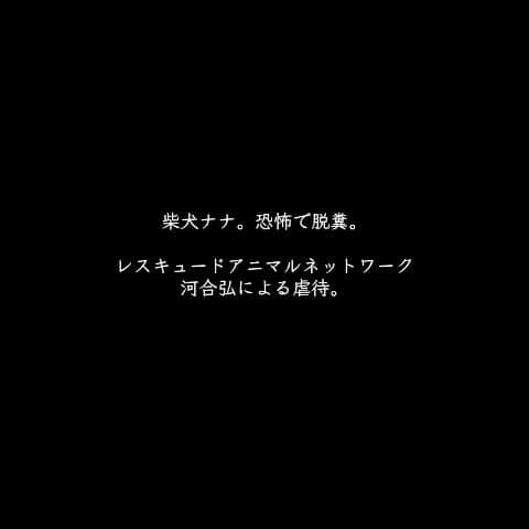 のインスタグラム：「2枚目は2019年11月8日、レスキュードアニマルネットワークの公式のInstagramに添付されている写真です。 ⁡ 3枚目以降はこちらで保護した当初のナナです。 たった2年でこんなに表情が無くなるものでしょうか… 長い虐待から恐怖に耐え続け、PTSDから心に相当深い傷を負い、何だか生きるパワーというものが弱い気がします。 保護した犬達はほとんどが同じような表情をしていました。 ⁡ 体罰と虐待の違いを区別できないのは大変怖い事です。 その子の個性どころか運命まで狂わせてしまうのですから。  ⁡ レスキュードアニマルネットワークの犬達は、 「お座り・お手・おかわり・伏せ」というワードを聞くと、どんどん表情が曇り、みるみるうちに元気が無くなり、目も逸らす子ばかりでした。 ⁡ この録音を聞いて納得しました。 実際は4分程ございますが後半にかけて酷いため、１分で区切らせて頂きます。 ⁡ ⁡ ------ ⁡ こらぁ、 あ、いてえ、噛んだなお前！ ⁡ （革のリードをムチがわりにして引っ叩く） ⁡ ダメだろこらぁ、いてえなぁ なに噛んでんだよこらお前 こらぁ！ほんとにいい加減にしろゴラ、こっちこい！ナナ！！ 本当によぉ、いい加減にしろよお前。 ちょっと調子に乗りすぎじゃない？ ⁡ （ナナの顔面をグーで殴る。） ⁡ こらぁ！人間を噛むなよこらおい、ナナー！ ⁡ （ナナの首に馬乗りになりナナの頭上から拳を振り下ろし何度も何度も殴る） ⁡ うるせぇ！噛まない！ああいてぇ、分かったか！！ 噛まない！！ ⁡ （恐怖で犬脱糞）。。 ボランティアに対して、「ちょっとうんち拾って！」 ⁡ 調子に乗りすぎだ。な、ダメだろダメェ！わかった！？ 許さないよお前、わかった？ 何だその顔は、、まだやるか？！（蹴り飛ばす）まだやるか？ ⁡ （ナナ悲鳴を上げる） ⁡ おいで、座れ！　待てだ待て！ 伏せ、伏せ！！！（再度蹴る）  #レスキュードアニマルネットワーク #動物虐待 #刑事告発」