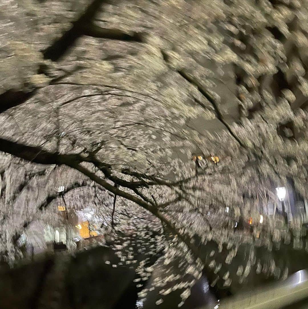 長谷川麻衣のインスタグラム：「みんな桜の写真上手すぎない？🤳 私こんなのしか撮れないんだけど😂笑  #桜  #ブレすぎだろ  #この一枚しかない😢 #出会いと別れの季節ですね🌸」