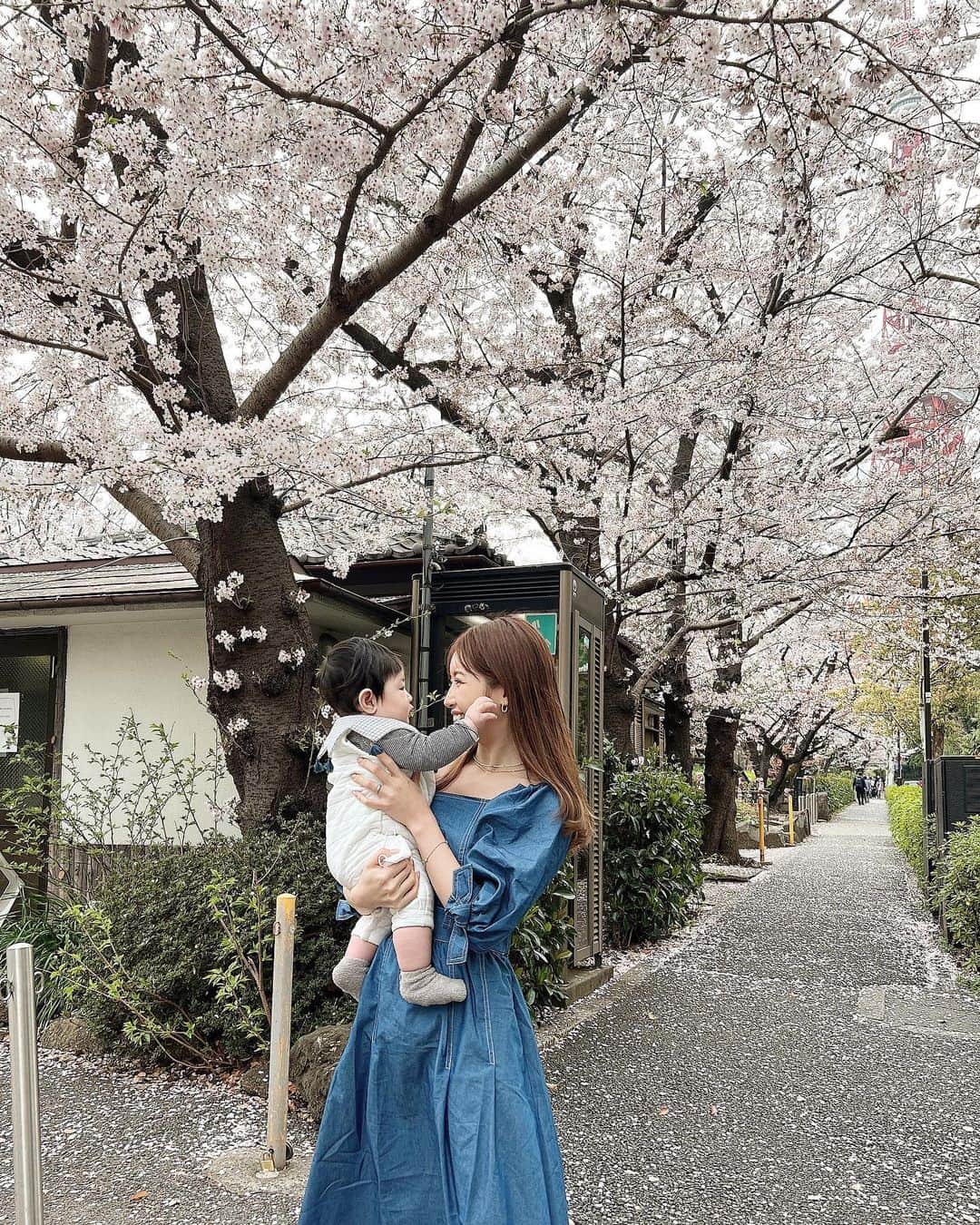 のインスタグラム：「うっとり🌸🌸🌸🌸  今年は何だか特別な気分🌸 無事に見れてよかった☺️🙏✨  みんなにご相談！ 毎週平日の日中でインスタライブして、ゆるーくお話ししたいなーと思っているのだけど、何曜日の何時だと見やすいかなぁ？💕コメント欄で教えてください😉✨  #お花見　#お花見コーデ #お花見日和」