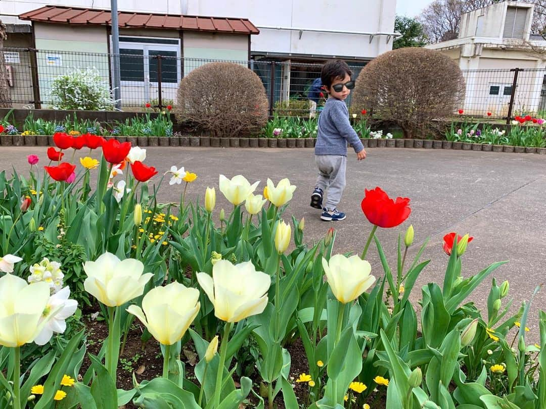 仲川希良のインスタグラム