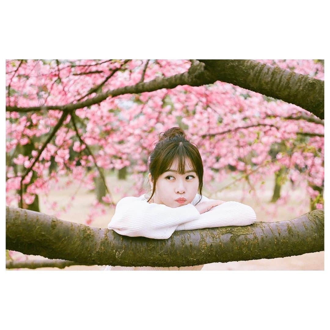 立花サキさんのインスタグラム写真 - (立花サキInstagram)「4月STARTです🌸 ⁡ 気候も暖かくなり、花粉と戦いながらも 過ごしやすい日が多くなりましたね☺️ ⁡ 春の優しい空気、新芽やお花たちに癒されます♡ ⁡ 東京は桜満開🌸 皆さんの地域はどうですか？ ⁡ 色々と大変な世の中ですが 緑やお花たちを見て少しでも リフレッシュしていきましょう𓈒𓂂꙳ ⁡ 今月もよろしくおねがいします𓇽 ⁡ 📷　@kemonon.nara  (写真は過去のものです) ⁡ ⁡ p.s 本日のサキ走りニュースはお休みになります。 ⁡ #4月 #spring #作務衣モデル #作務衣女優」4月1日 6時09分 - tachibanasakichaso