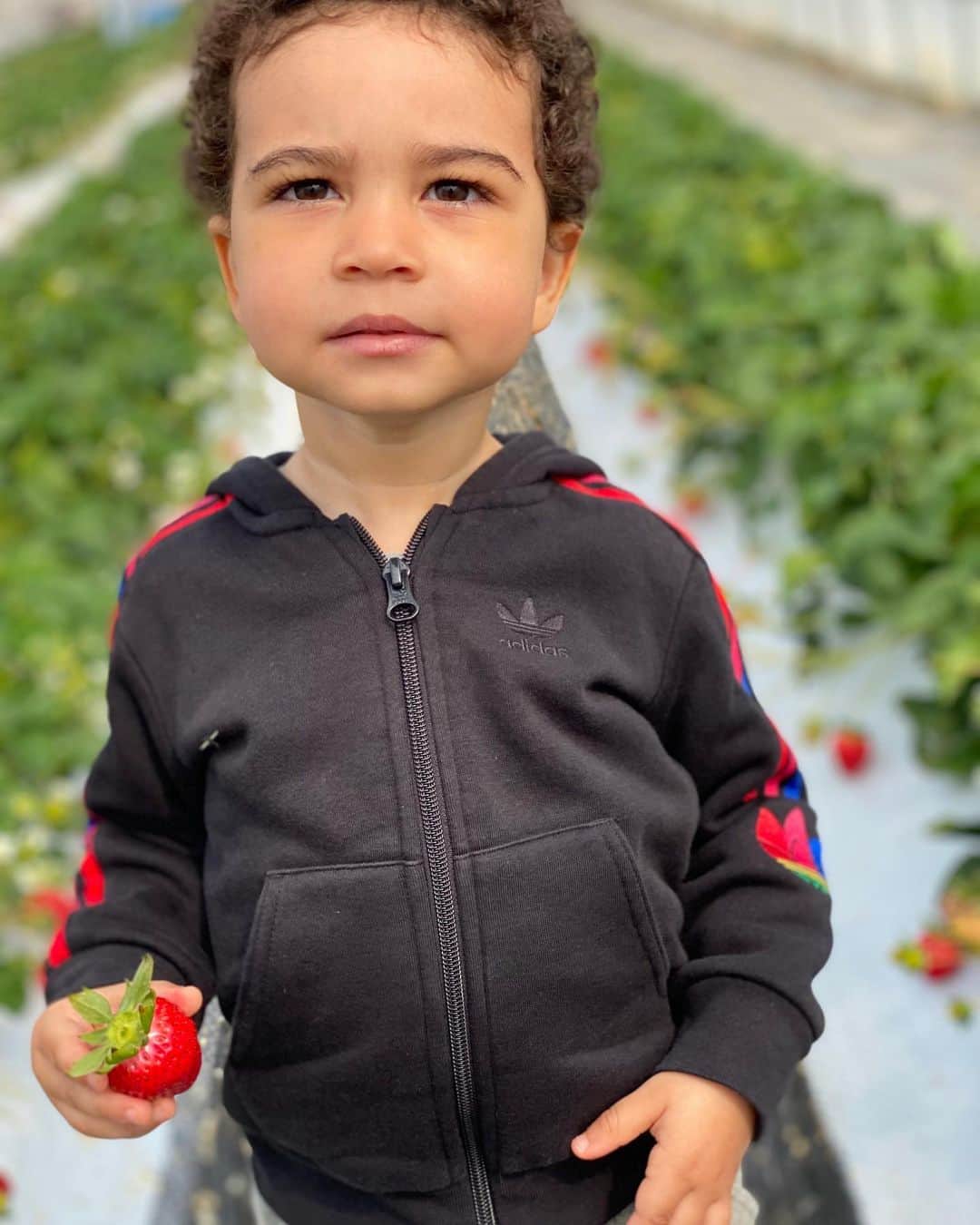 フォルケ・アキンラデウォのインスタグラム：「🍓」