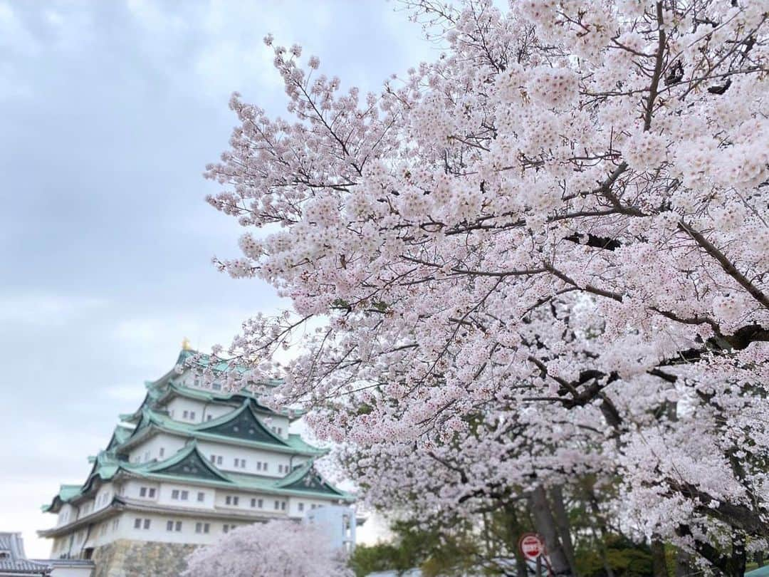 森山るりさんのインスタグラム写真 - (森山るりInstagram)「. お久しぶりです。 今日から新年度ですね🌸  新しい日々を迎えるみなさん 不安なことも多いと思いますが、 沢山の出会いと笑顔が訪れますように😌  お仕事を辞め名古屋に来てから早1年ですが、 こちらでの毎日にもすっかり慣れて お仕事をしていた頃の自分が思い出せないくらい笑  今でもフォローしてくださってる皆さんのためにも、 今年度は更新頻度をあげていこうと思います…！💪🏻 (宣言して追い込んでくスタイル) 温かく見守っていただけたら幸いです☺︎」4月1日 8時24分 - ruri_moriyama_official