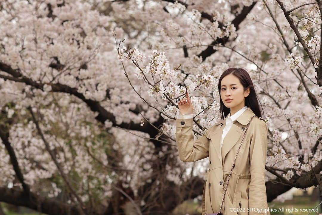 シト山口のインスタグラム：「人気タレントのイェンちゃん💕✨ 昨日は桜も見頃だったので珍しくロケに行く！ F値は開放気味なれど、明るさ抑えめです。 昨日は曇りだったから晴れたらまた全然違う絵になったのだろうなぁと( ´ ▽ ` )ﾉ ああ、楽しい１日でした😊  model イェンちゃん@iyenchangram photo @sito_yamaguchi」