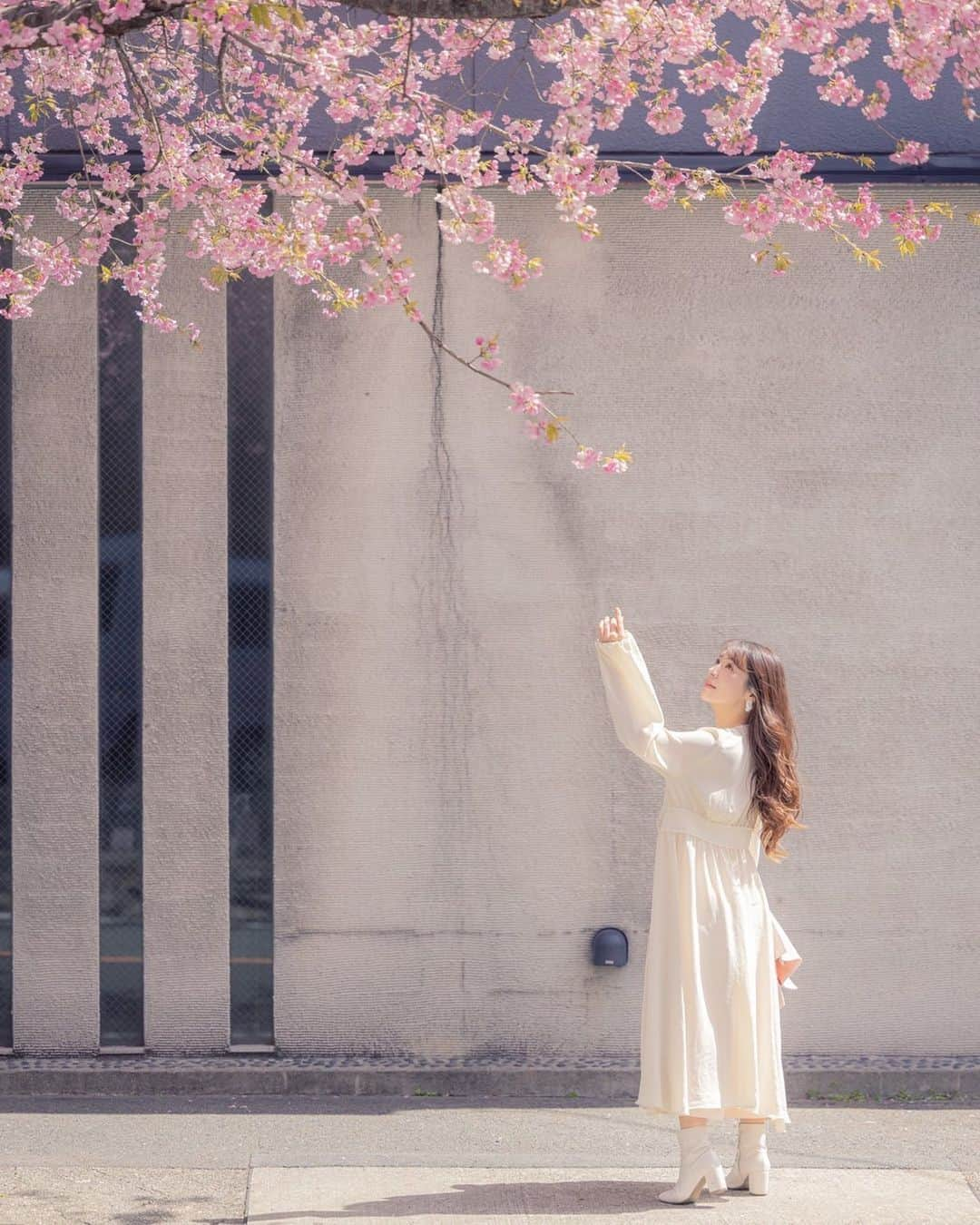 中村かなさんのインスタグラム写真 - (中村かなInstagram)「🌸 ・ ・ 桜満開で毎日お外に出るのがるんるんっ🌸 ・ 今週末4/2.3 は桜撮影会🌸💗 まだ🈳ありますので ご予約・お問合せ👇 【 @kana_photo_session 】 ・ ・ 📸 @h.y.d.e_portrait  ・ ・ ・ #桜ポートレート #桜 #撮影会 #ロケーション撮影 #風景写真 #撮影会モデル #ファインダーは私のキャンパス #一眼レフ #一眼レフ初心者 #淡色女子 #春コーデ #かな企画撮影会 #その瞬間に物語を #何気ない瞬間を残したい #ノスタルジーな瞬間を #春よ来い #春よ恋 #透明感のある世界 #淡色女子と繋がりたい #good_portraits_world #good_portraits_japan #写真で伝えたい私の世界 #春爛漫 #人物攝影 #人像摄影 #人像寫真 #模特 #寫眞 #白紙の1ページ #儚くて何処か愛おしい様な」4月1日 10時19分 - k777pime