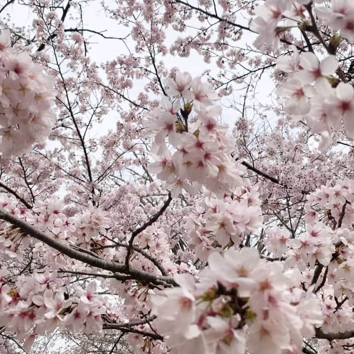 夏焼雅のインスタグラム：「今日から4月🌸 新生活がスタートする人も多いですね〜♪ 新しい事が始まる時って楽しみな気持ちもあるけど、 緊張や不安もある🥹 まずは大きく深呼吸〜‼︎  好きな音楽を聴いたりして リラックスする事も大切だよ〜✨  まずは今日1日がhappyであれ🫰🏻💖💖💖  #4月  #新生活」