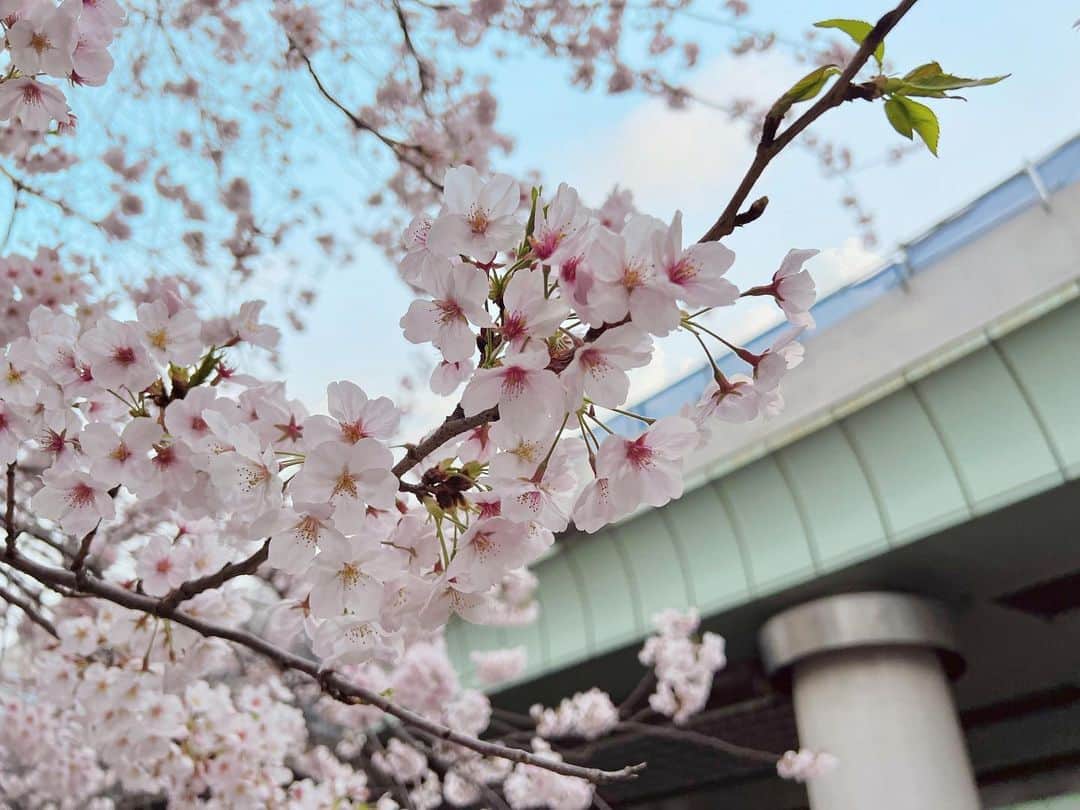 のインスタグラム：「⁡ 今日から４月🌸 新年度ということで新たなスタートを切る方も多いかもしれません 私は特に環境の変化はありませんが、新たに気持ちを入れ替え、張り切って行きたいと思います✊🏻✨ ⁡ みなさんがステキな出会いに恵まれますように🌸」
