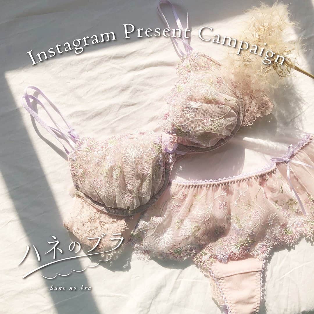 のインスタグラム：「. Instagram present campaign✨  Instagramをフォロー後、ハイライトから飛べる応募フォームをご入力いただくと、抽選で20名様にハネのブラをプレゼント🕊  応募期間は4月7日（木）まで！  ハイライトは、Instagramのプロフィール下にございます。  皆さまのご応募をお待ちしております💕  ※カラーはお選びいただけません。  #アンフィ #amphi #ワコール #wacoal #ランジェリー #lingerie #プレゼント #プレゼント企画 #プレゼントキャンペーン #プレゼント企画実施中」