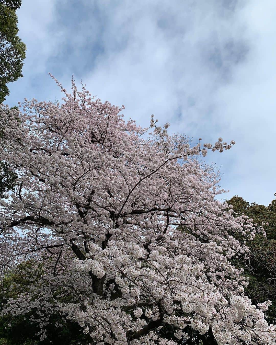 澤野大地さんのインスタグラム写真 - (澤野大地Instagram)「今日から新年度。新たな気持ちでスタート。  #2022」4月1日 12時42分 - daichisawano