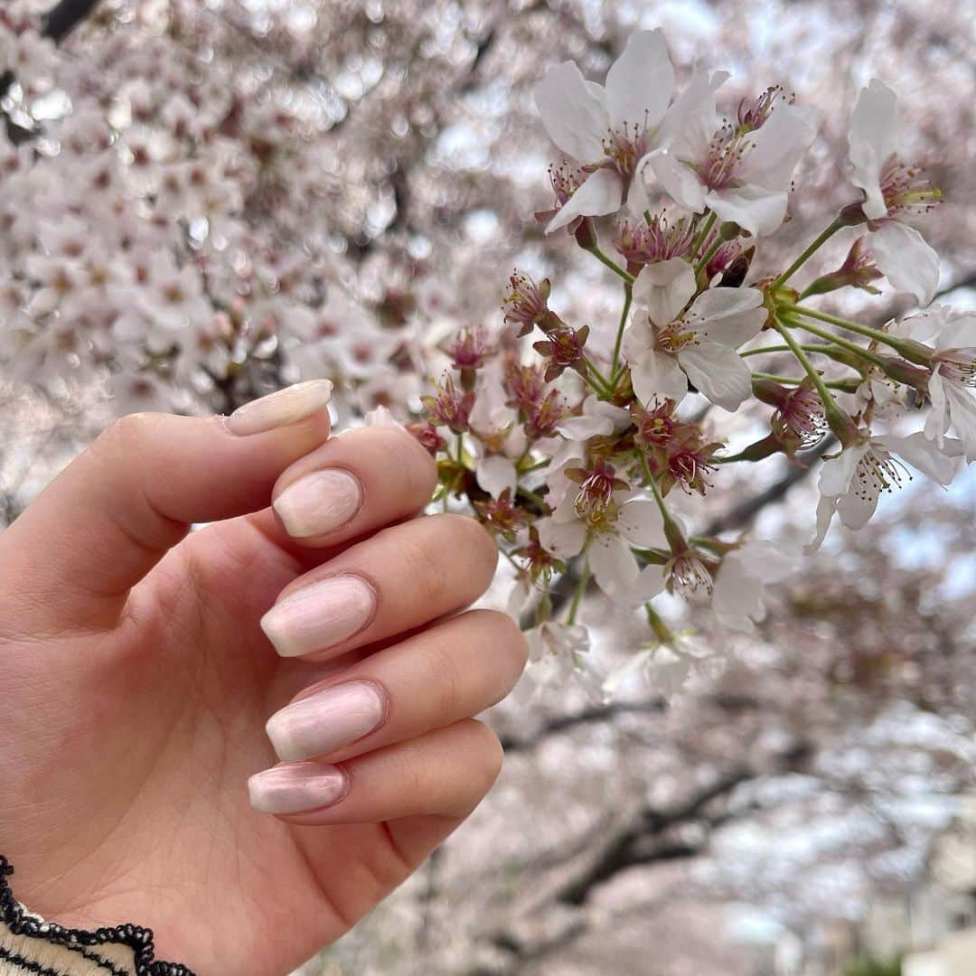 御子柴かなさんのインスタグラム写真 - (御子柴かなInstagram)「今の💅は、さくらピンク🌸 目黒川沿いをお花見しました☺︎」4月1日 12時45分 - kanakana2510