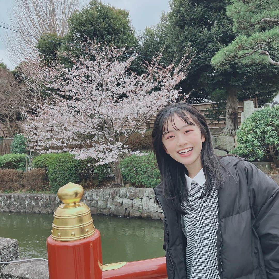 ひまひまチャンネルのインスタグラム