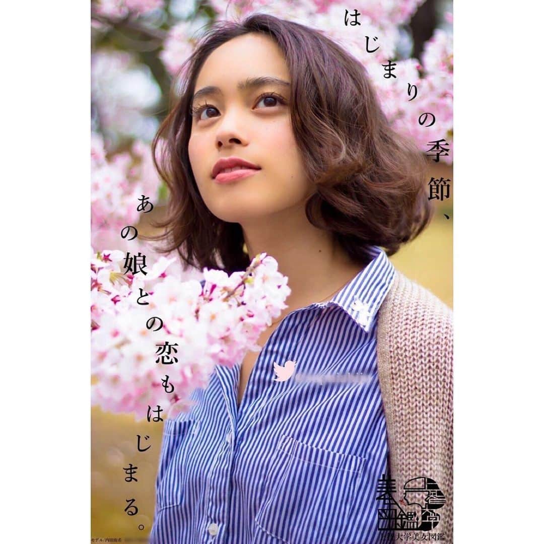 のインスタグラム：「上智大学の目の前にある真田濠のさくらも見頃を迎えているようです🌸🌸🌸 久しぶりに見にいきたいなぁ💭  週末はお花見のラストチャンスとなるところも多くなりそうですね！春を満喫しましょう☺️  (ちなみにこれは学生時代の懐かしい春ポスター)」