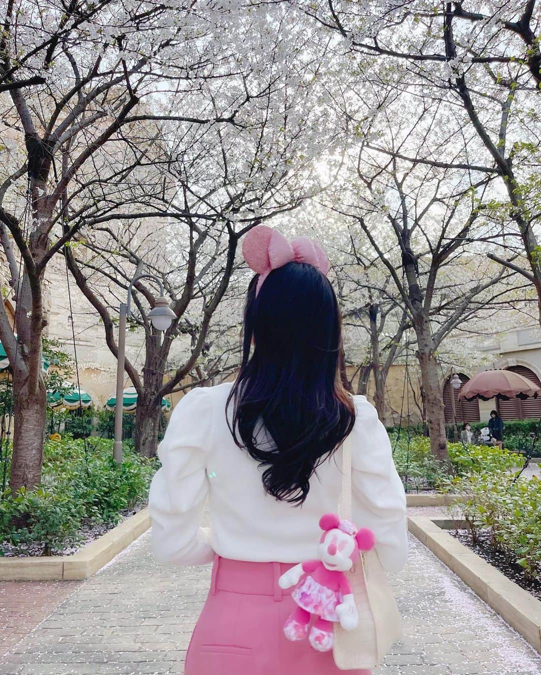 関根ささらさんのインスタグラム写真 - (関根ささらInstagram)「Hello April🌸 . . 今日から新生活が始まる方も多いでしょうか？🎈 私も今日からがまた新たなスタートの気持ちで過ごして行こうと思います🌸 . . 写真は #東京ディズニーシー のエントランス横(#ホテルミラコスタ 側)に咲いてた桜🌸💗3/29に見た時満開で、3/31に行ったらもう葉桜になってた🥲🥲🌸🌱(1〜6枚目は3/31、7・8枚目は3/29の写真🌸) . . 桜見てると癒されるよねぇ♡ 桜ひとつで情緒を感じられる日本に生まれてよかったなぁと感じる瞬間🌸🇯🇵 . . #tokyodisneyresort #tokyodisneysea #tds #tdr #hotelmiracosta #miracosta #sakura #cherryblossom #cherryblossoms #さくら #桜 #サクラ #🌸 #さくら🌸 #桜🌸 #桜満開 #🌸🌸🌸」4月1日 14時50分 - sasarasekine