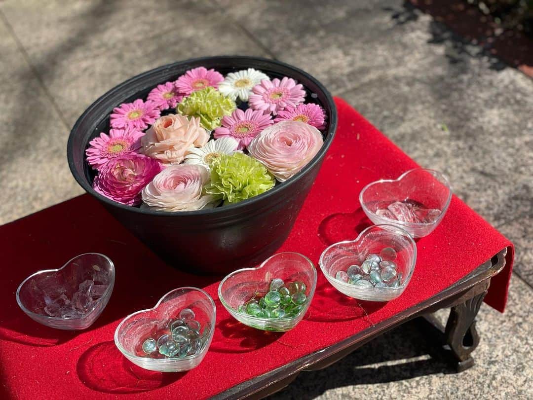 吉良りんさんのインスタグラム写真 - (吉良りんInstagram)「. . お花が綺麗と思えるように なりました　🌸 . #神社　#癒されたい日　#花」4月1日 15時07分 - kira_rin_light
