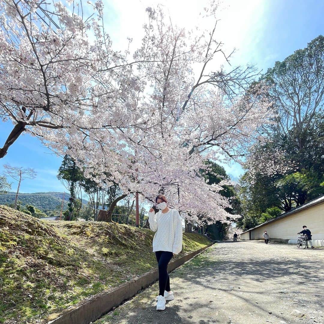 森田理香子さんのインスタグラム写真 - (森田理香子Instagram)「． ． 2022年4月1日🌸 まだまだ花粉は多いですが、 暖かくなってきて 過ごしやすい日が続いていますね。  私は自然を見て日々感動しています。 一日一日を 大切に過ごしたいなと思いながら 桜を眺めていました🌸 久しぶりに写真載せたいと思いまーす✨  皆様はどうお過ごしでしょうか？　  #4月#花見したい#日本の春#綺麗 #花粉は多い#辛い#人生 #愛する人#大切に」4月1日 16時14分 - 1_rikako