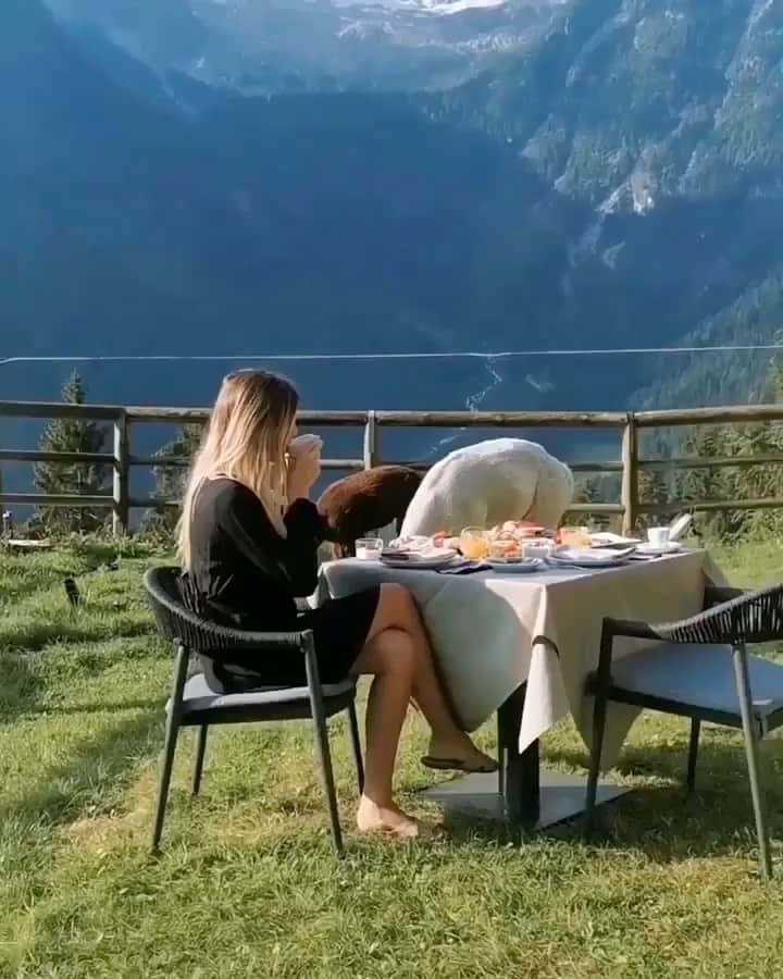 Awesome Wonderful Natureのインスタグラム：「Breakfast with friends in Italy. 🇮🇹☕️ 🦙 Have you seen an alpaca in person before?  Video by @valeriandalex」