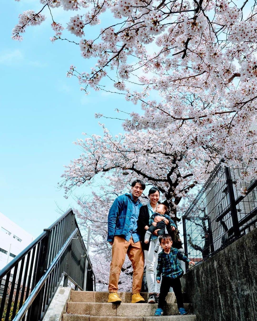 鈴木雅仁のインスタグラム：「🌸2022🌸#家族写真 透八3歳5ヶ月 快八0歳9ヶ月  #家族 #108君 #桜 #cherryblossom」
