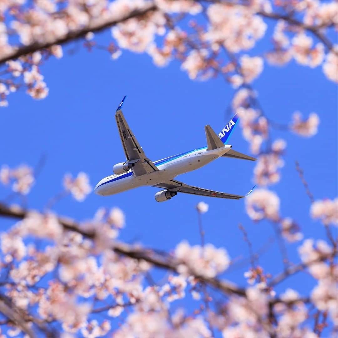 ANAさんのインスタグラム写真 - (ANAInstagram)「🌸笑顔が咲き誇る１年になりますように🌸  #今年度もよろしくお願いいたします #ボーイング767 #ソラマニ_ヒコーキ #anaairplane #ana_jp  ANAの飛行機は「#ソラマニ_ヒコーキ」をつけて投稿してね📷インスタやANAの各メディアでご紹介していきます✈️」4月1日 17時30分 - ana.japan