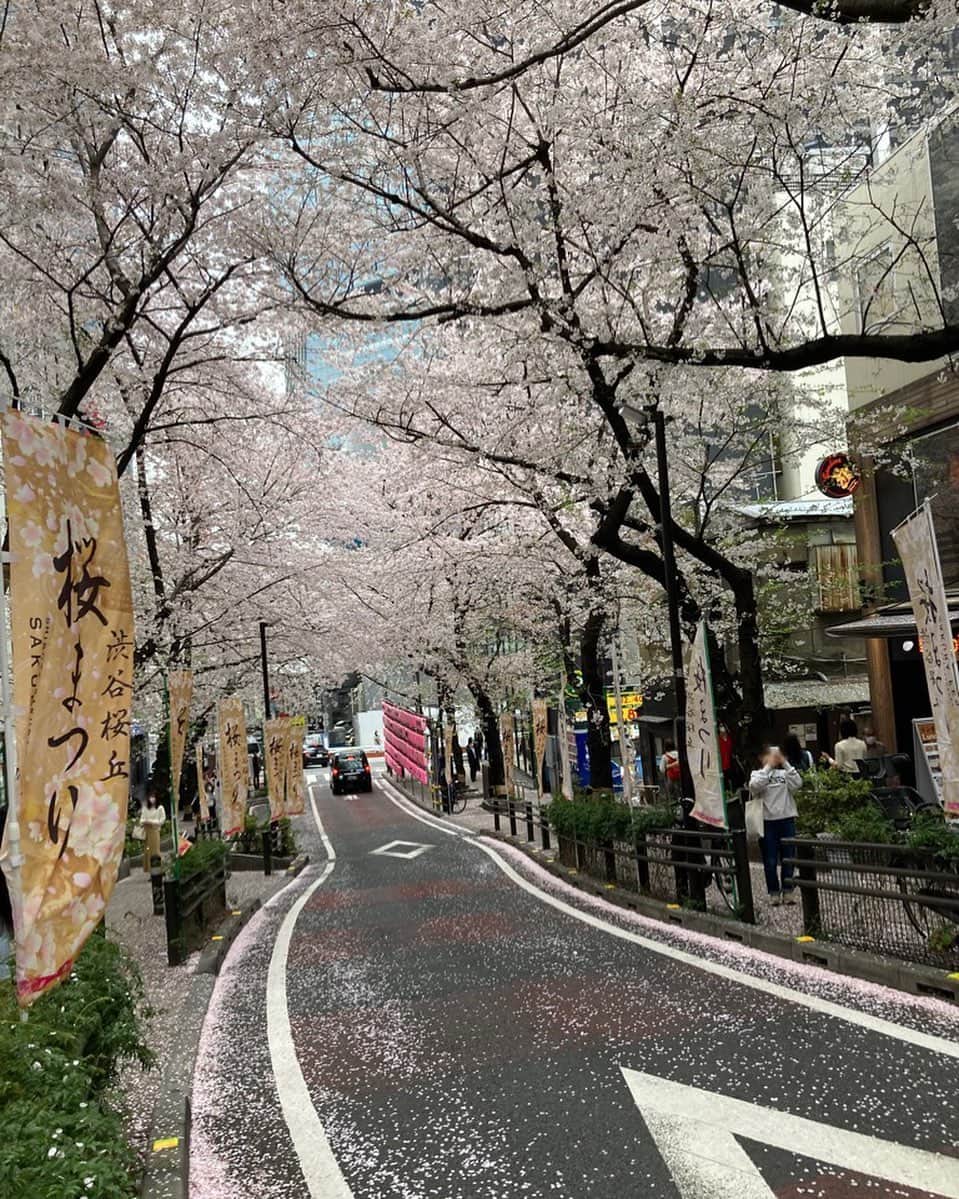 吉野裕行さんのインスタグラム写真 - (吉野裕行Instagram)「吹雪いちゃってるから〜 #さくら」4月1日 17時55分 - _yocchin_______