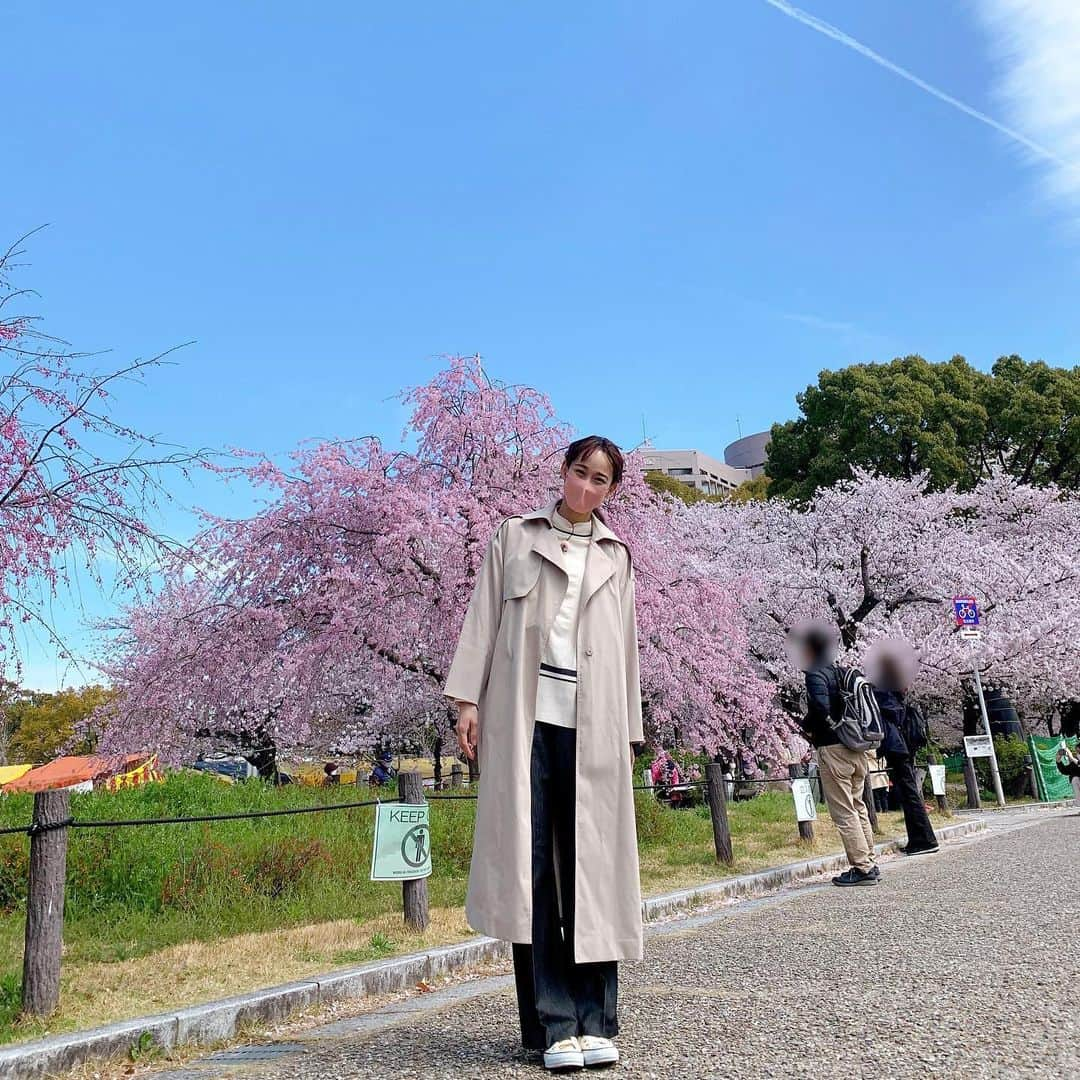 浦口史帆さんのインスタグラム写真 - (浦口史帆Instagram)「4月1日🌱 #鶴舞公園 では、それぞれの始まりの春を応援するかのように満開の桜が咲き誇っていました🌸✨  学生の頃から、何度もこの鶴舞の桜に癒されて励まされてきたなあ〜☺️🤍  新生活がスタートする皆さんに幸あれ📣🍀✨  #新年度　#鶴舞公園お花見 #満開 #桜と飛行機雲 #🌸 #✈️」4月1日 18時26分 - uraguchi_shiho