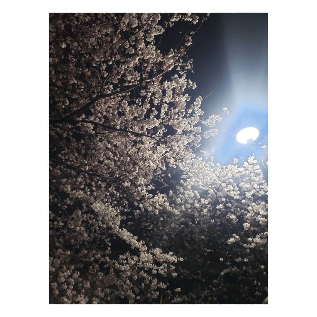 五十嵐早香さんのインスタグラム写真 - (五十嵐早香Instagram)「4月になったね🌸⁡ ⁡アイドル卒業してから1ヶ月！⁡ ⁡これからもよろしくね✨」4月1日 18時46分 - hayakaiga