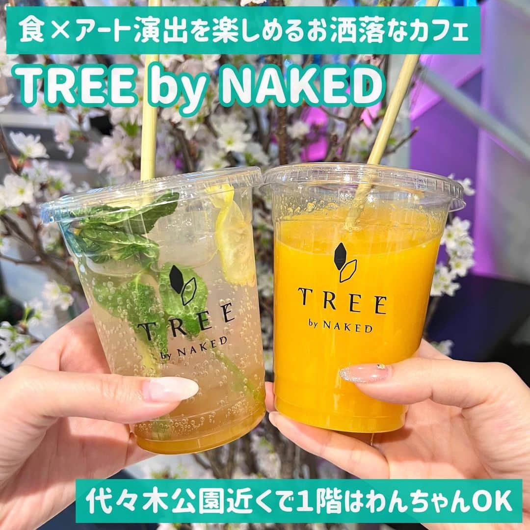 吉川ちかのグルメインスタ