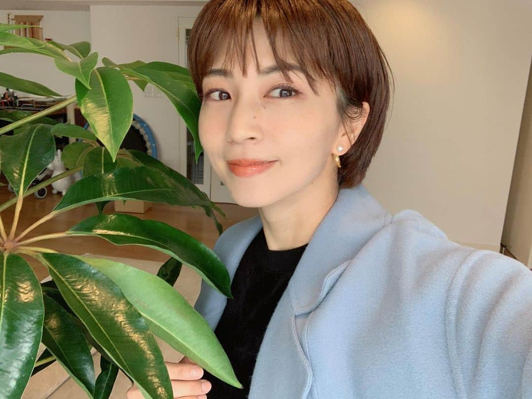 安田美沙子さんのインスタグラム写真 - (安田美沙子Instagram)「我が家に観葉植物がやってきた☺️❤️  YouTubeで買いました。 お部屋の雰囲気が変わる🌿  でも。。知識がなさすぎる。  大事に大事にしよう✨  2枚目のモクモクは、スイミング男の子同士ママ友(長い)とのランチ☺️❤️  #green #lunch #flower #観葉植物　#youtube  #みどり　#癒されたい」4月1日 19時58分 - yasuda_misako