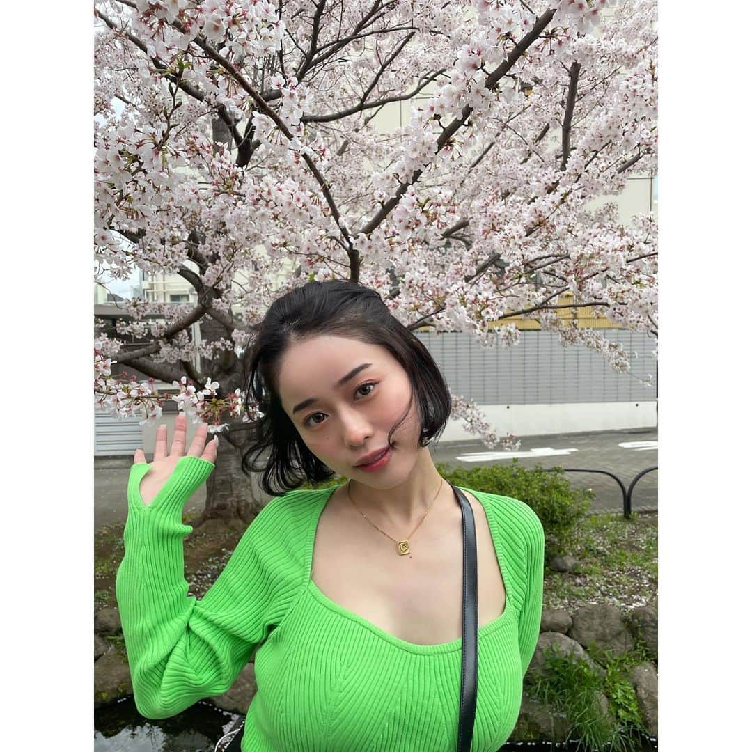 MINAMOさんのインスタグラム写真 - (MINAMOInstagram)「綺麗な桜がみれました、幸せ〜🥰」4月1日 20時31分 - minamo_j