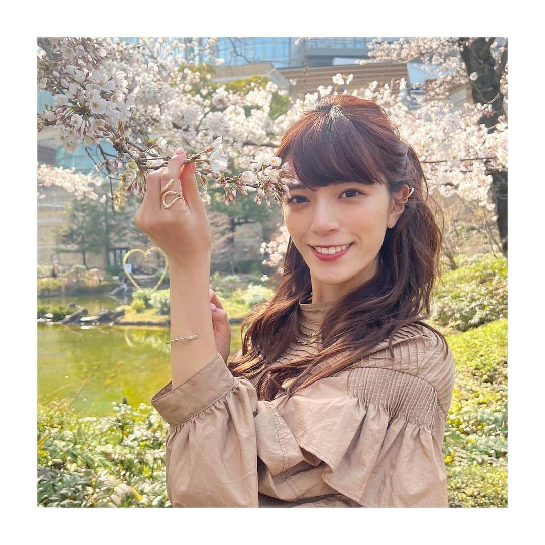 のインスタグラム：「* 今日から新年度！🌸 心機一転、社会人６年目も自分らしく頑張ります😊 東京の桜、いつまで持つかな。 * #新年度#4月#心機一転#６年目#社会人#頑張る#自分らしく#東京#六本木#毛利庭園#roppongi#六本木ヒルズ#ソメイヨシノ#桜#テレビ朝日#アナウンサー#三谷紬」
