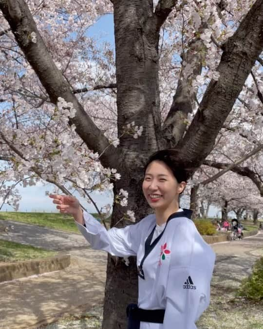 山田美諭のインスタグラム：「今日は来年度のアスリートカレンダーの撮影をしてきました📸  赤羽岩淵駅から徒歩10分ほどにある、北区立赤羽桜亭緑地！！  桜が満開でとっっってもきれいでした🌸  私はいつもポーズを決めたり、表情を作ったりするのがとても苦手で、、  不自然すぎて面白い感じになっちゃうんですけど、、、笑  なんとかいい感じに撮影を終えることができ、カメラマンとマネージャーからも👌が出ました🥺笑  来年度のカレンダーもきっと素敵なものになると思うので、皆さんお楽しみに❤️‍🔥  2枚目の写真は爆風で凍えてる私の盾となってくれてるマネージャーです。笑  #城北信用金庫 #johokuathletesclub #アスリートカレンダー #撮影 #🌸 #赤羽岩淵 #北区立赤羽桜堤緑地 #テコンドー」