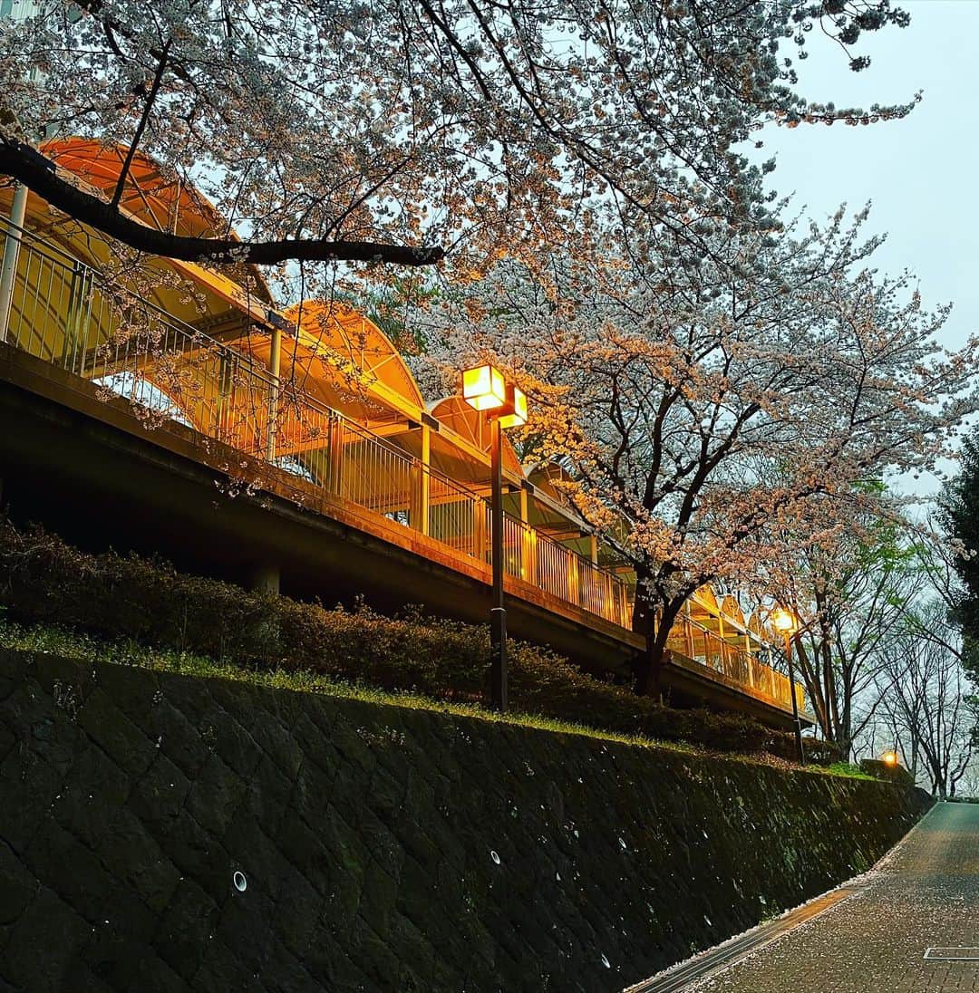 東海大学（公式）のインスタグラム：「4月23日（土）夜10時スタートのドラマ『パンドラの果実』の撮影に協力しました📺 湘南キャンパス内が様々なシーンで登場します😊👌 ぜひご覧ください🌈 #パンドラの果実 #東海大学 #撮影スポット #湘南」