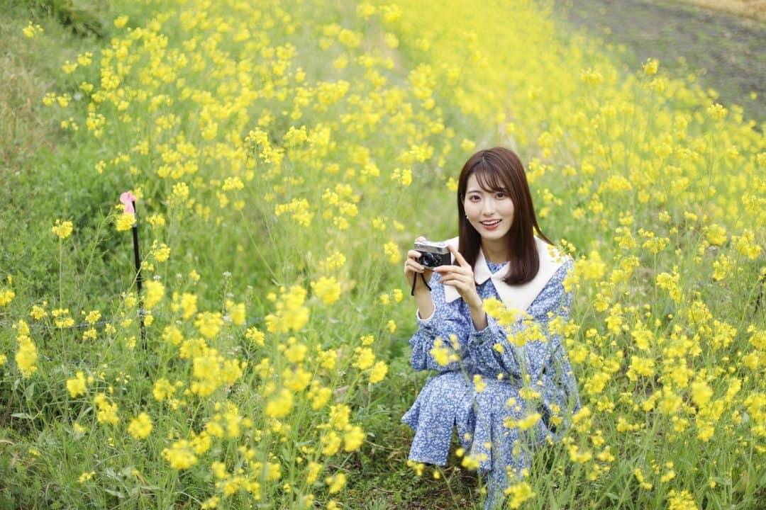 山下七子さんのインスタグラム写真 - (山下七子Instagram)「この前とある撮影で念願の菜の花畑に行って写真を撮る事が出来ました〜🌼🌼🌼 嬉しすぎる、、！！！！✨  またお知らせさせて下さい✨☺️  #菜の花#菜の花畑 #写真#福岡県#春#春メイク#春コーデ」4月1日 21時36分 - yamashita_nanako