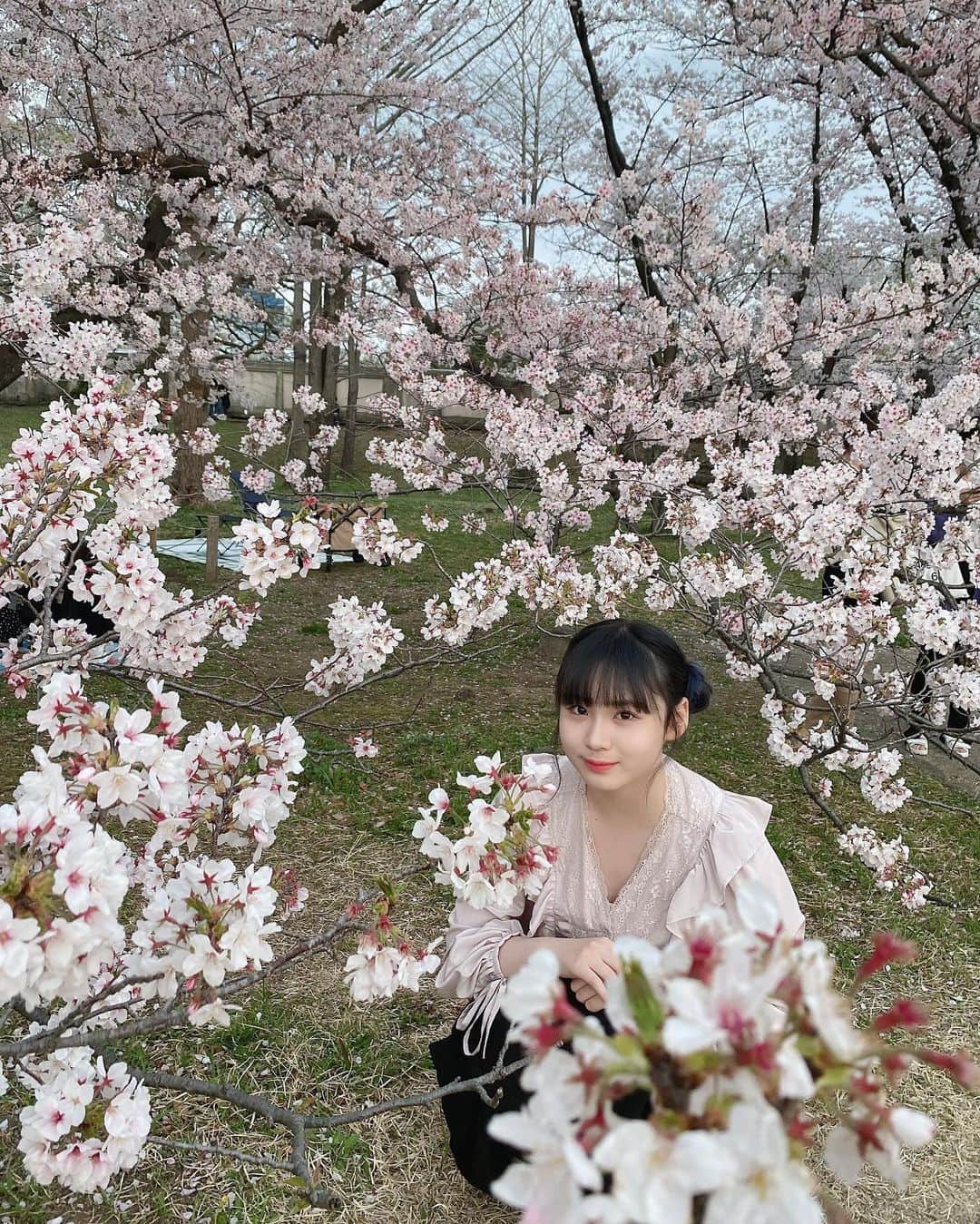 のインスタグラム：「🌸」