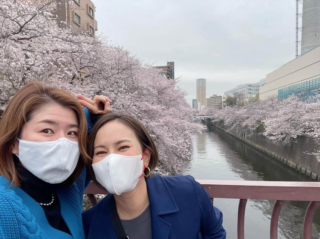 宮里藍のインスタグラム：「@bdmntnfujiimizuki ちゃんとお花見散歩🌸🚶‍♀️寒かったけど凄い綺麗だったなー！みずきちゃんは、妊娠してる時から #お散歩部 発足してくれて、私の大事な時間を共有してくれてます☺️✨本当にありがとー！しかし、桜って本当綺麗🌸  #娘は終始寝てました #お花見散歩   It’s a cherry blossom season in Tokyo and I went to see with my friend @bdmntnfujiimizuki . Absolutely beautiful 🌸✨ #cherryblossom #tokyolife  #bff #girlstime」