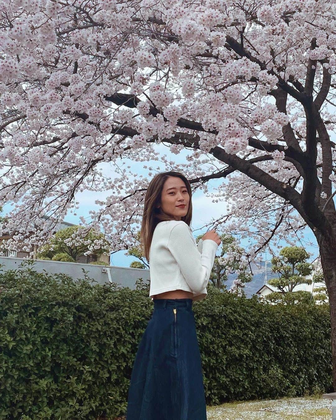 上野智子さんのインスタグラム写真 - (上野智子Instagram)「局の近くの桜🌸 4月スタート、新年度&新学期！ 息抜きしながらがんばってこ〜進み続けるためのブレイクタイムだから積極的に取っていいんだよ〜♡  (1つ前のPostコメントたくさんありがとうございます🥲🙏Podcastも久しぶりにアップしたので聴いてね😉)  #helloapril #桜 #山梨」4月1日 22時07分 - tomokoueno