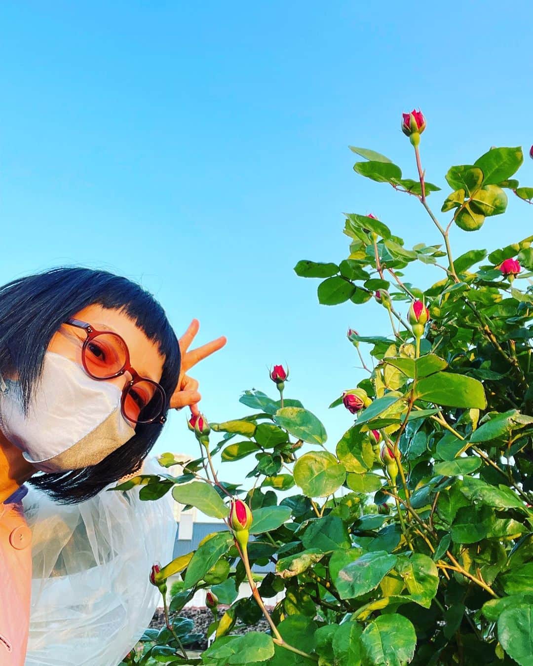 奥井亜紀のインスタグラム：「これからはバラが楽しみだな。 夕焼け、キレイだった❤️」