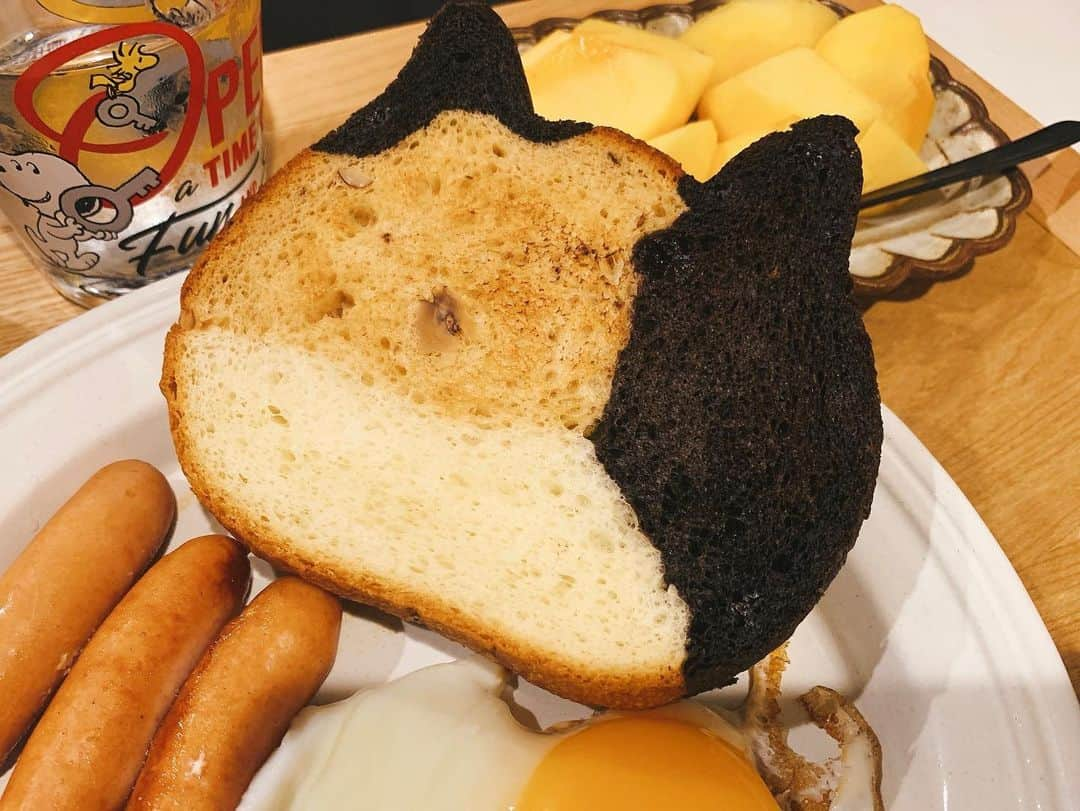 奥山レイカさんのインスタグラム写真 - (奥山レイカInstagram)「ねこねこ食パン🍞 ずっと気になっていたので購入！ お顔を描いたら食べる時に心が傷むので何も描いてません！  #ねこねこ食パン #パン #おうちごはん #朝ごはん #うつわ好き #うつわのある暮らし」4月30日 19時36分 - rks631