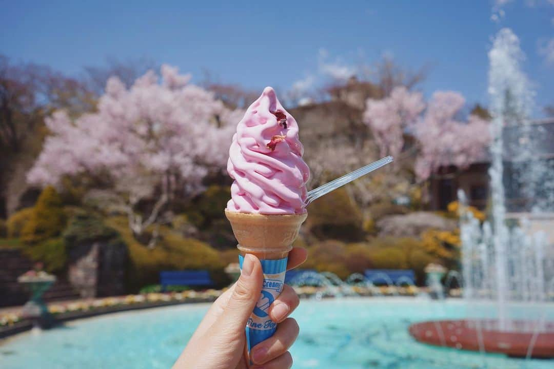 茉莉さんのインスタグラム写真 - (茉莉Instagram)「🌸🌿♨︎ . . . 箱根にひとり旅へ。 温泉に、桜は満開… ワンちゃん達🐶を連れて 色んな所へ一緒に行けて良かった… 旅の思い出がまたひとつ増えました😌✨  . .」4月30日 19時48分 - mari._xx